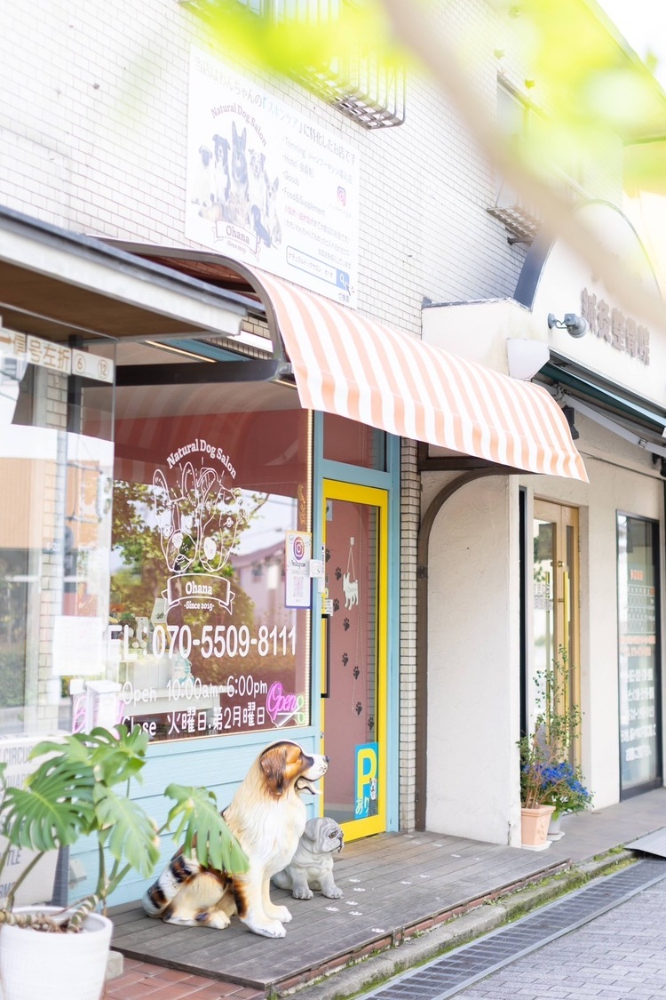 Natural Dog Salon Ohana