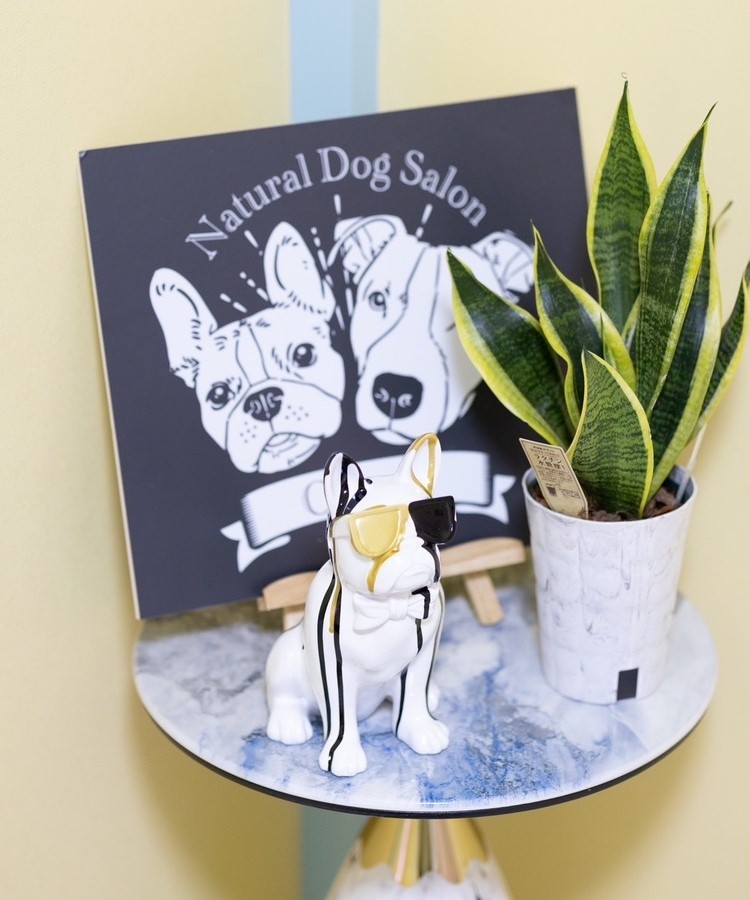 Natural Dog Salon Ohana